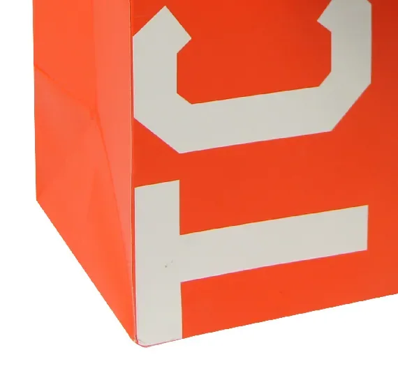 Brilliant Jewelry Paper Bag — reference photograph 4