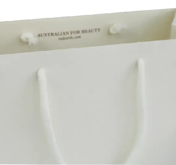 Cream Jewelry Paper Bag — reference photograph 3